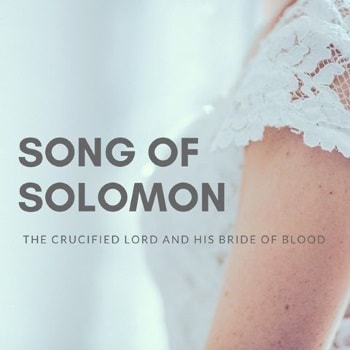 Series: The Crucified Lord and His Bride of Blood